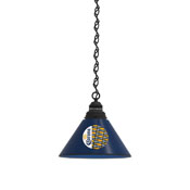 Corona (YwBtlPtrn) Pendant Light with Fixture by Holland Bar Stool Co.