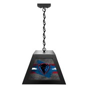 DePaul University Pendant Box Light by Holland Bar Stool Company, BxLM1BKDePaul