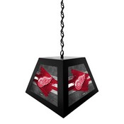 Detroit Red Wings Pendant Box Light by Holland Bar Stool Company, BxLM1BKDetRed