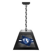 Eastern Illinois University Pendant Box Light by Holland Bar Stool Company, BxLM1BKEastIL