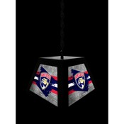 Florida Panthers Pendant Box Light by Holland Bar Stool Company, BxLM1BKFlaPan