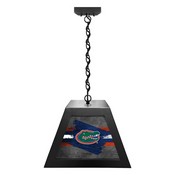University of Florida Pendant Box Light by Holland Bar Stool Company, BxLM1BKFlorUn