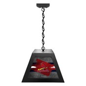 St. Louis Cardinals Pendant Box Light by Holland Bar Stool Company