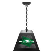 University of North Dakota Pendant Box Light by Holland Bar Stool Company, BxLM1BKNorDak