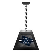Xavier Pendant Box Light by Holland Bar Stool Company, BxLM1BKXavier