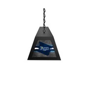 Tampa Bay Rays Long Box Billiard Light by Holland Bar Stool Company