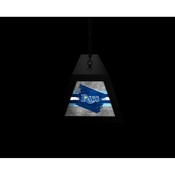 Tampa Bay Rays Long Box Billiard Light by Holland Bar Stool Company