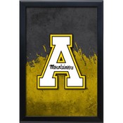 Appalachian State University 15.75