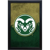 Colorado State University 15.75