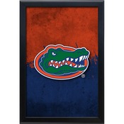 University of Florida 15.75