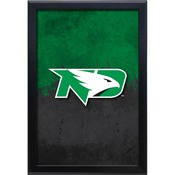 University of North Dakota 15.75