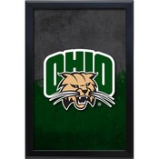 Ohio University 15.75