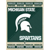 Michigan State University Canvas Wall Art by Holland Bar Stool Company, AGS-LCnvs1520MichSt