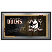 Anaheim Ducks 15