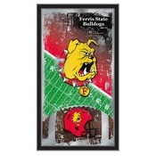 Ferris State University 15