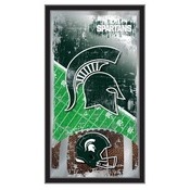 Michigan State 15
