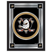 Anaheim Ducks 17