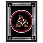 Arizona Coyotes 17