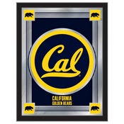 University of California 17