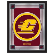 Central Michigan University 17