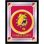 Ferris State University 17