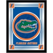 University of Florida 17