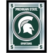 Michigan State University 17