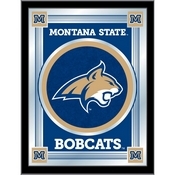 Montana State University 17