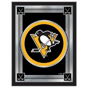 Pittsburgh Penguins 17