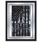 United States Space Force 17