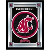 Washington State University 17