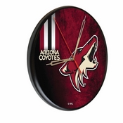 Arizona Coyotes 13
