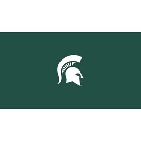 Michigan State 8' Pool Table Cloth, 52-4016