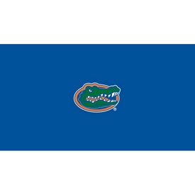 University of Florida 9' Pool Table Cloth, 52-4026-9