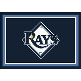 Tampa Bay Devil Rays 4x6 Spirit Rug, 521-2019