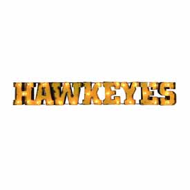 Univ of Iowa-Hawkeyes Lighted Recycled Metal Sign, 546-3018