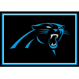 Carolina Panthers 3x4  Area  Rug, 569-1017