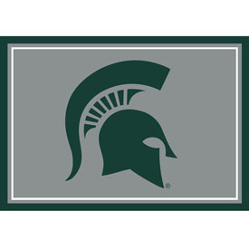 Michigan State 3x4  Area  Rug, 569-3016