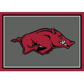 University Of Arkansas 3x4  Area  Rug, 569-3022