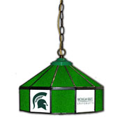 Michgan State 14