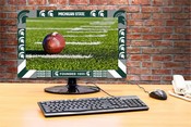 Michigan State Big Game Monitor Frame, 376-3016