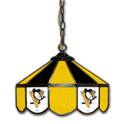 Pittsburgh Penguins 14