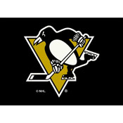 Pittsburgh Penguins 4X6 Spirit Rug, 521-4031