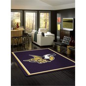 Minnesota Vikings 8'X11' Spirit Rug, 529-5007