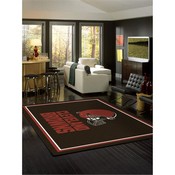Cleveland Browns 8'x11' Spirit Rug, 529-5020
