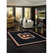 Cincinnati Bengals 8'x11' Spirit Rug, 529-5023