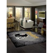 Pittsburgh Steelers 8'x11' Distressed Rug, 530-5004
