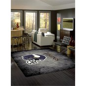 Minnesota Vikings 8'x11' Distressed Rug, 530-5007