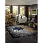 Chicago Bears 8'x11' Distressed Rug, 530-5019