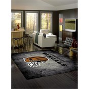 Cincinnati Bengals 8'x11' Distressed Rug, 530-5023